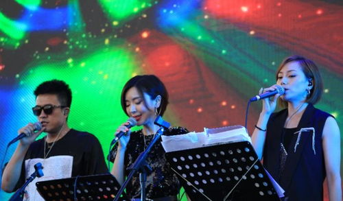 中演协经纪人委员会专业护航，沈阳法库音乐节圆满落幕