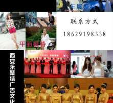 揭秘演出经纪 高清图片背后的行业全貌